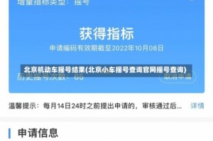 北京机动车摇号结果(北京小车摇号查询官网摇号查询)