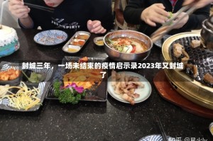 封城三年，一场未结束的疫情启示录2023年又封城了