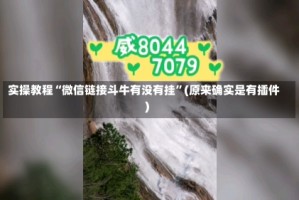 实操教程“微信链接斗牛有没有挂”(原来确实是有插件)