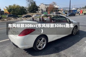 东风标致308cc(东风标致308cc跑车)