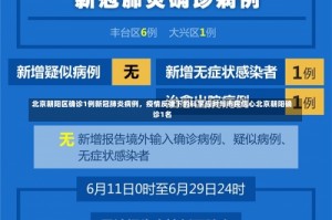 北京朝阳区确诊1例新冠肺炎病例，疫情反弹下的科学应对与市民信心北京朝阳确诊1名