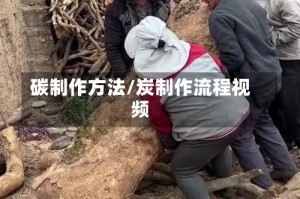 碳制作方法/炭制作流程视频