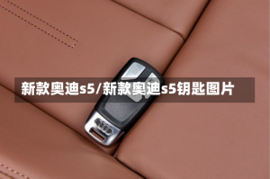 新款奥迪s5/新款奥迪s5钥匙图片