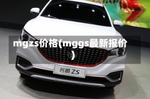 mgzs价格(mggs最新报价)