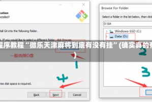 安装程序教程“微乐天津麻将到底有没有挂”(确实真的有挂)