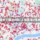 上海新增本土确诊5例/上海新增5本地确诊