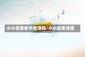 小小忍者新手激活码/小小忍者充值