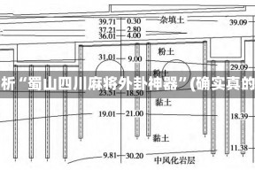 实测分析“蜀山四川麻将外卦神器”(确实真的有挂)