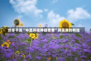 分享干货“中至开挂神器免费”其实真的有挂