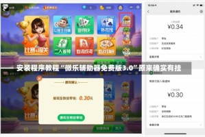 安装程序教程“微乐辅助器免费版3.0”原来确实有挂