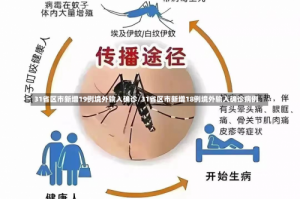 31省区市新增19例境外输入确诊/31省区市新增18例境外输入确诊病例