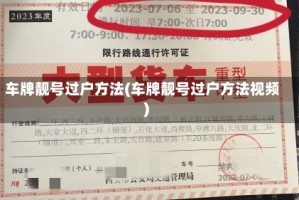 车牌靓号过户方法(车牌靓号过户方法视频)