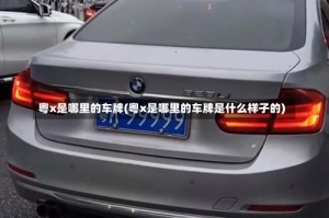 粤x是哪里的车牌(粤x是哪里的车牌是什么样子的)