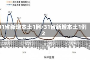 31省新增本土1例/31省新增本土1例2