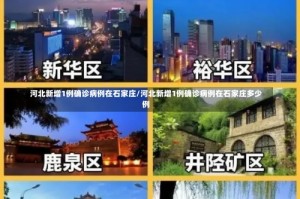 河北新增1例确诊病例在石家庄/河北新增1例确诊病例在石家庄多少例