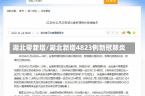 湖北零新增/湖北新增4823例新冠肺炎