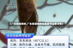 【广东新增病例,广东新增病例在哪里可以看详情】