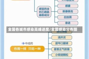 全国各城市感染高峰进度/全国感染分布图