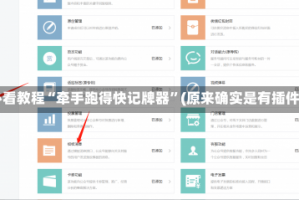 必看教程“牵手跑得快记牌器”(原来确实是有插件)