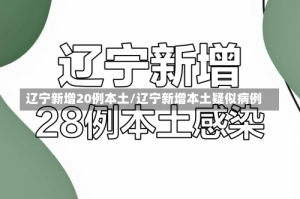 辽宁新增20例本土/辽宁新增本土疑似病例