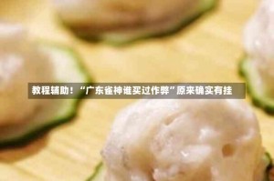 教程辅助！“广东雀神谁买过作弊”原来确实有挂