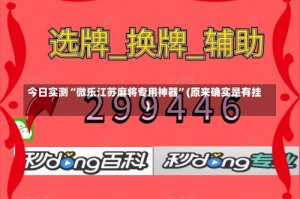 今日实测“微乐江苏麻将专用神器”(原来确实是有挂)