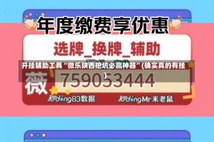 开挂辅助工具“微乐陕西挖坑必赢神器”(确实真的有挂)