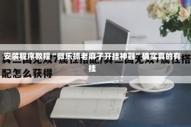 安装程序教程“微乐抓老麻子开挂神器”确实真的有挂