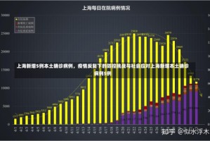 上海新增5例本土确诊病例，疫情反复下的防控挑战与社会应对上海新增本土确诊病例5例