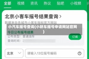 小汽车摇号查询(小轿车摇号申请网站官网)