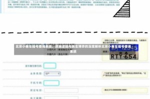 北京小客车摇号查询系统，政策逻辑与民生博弈的深度解析北京小客车摇号查询系统