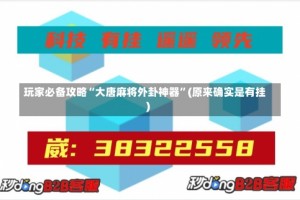 玩家必备攻略“大唐麻将外卦神器”(原来确实是有挂)