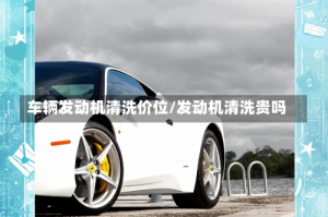 车辆发动机清洗价位/发动机清洗贵吗