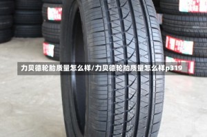 力贝德轮胎质量怎么样/力贝德轮胎质量怎么样p319