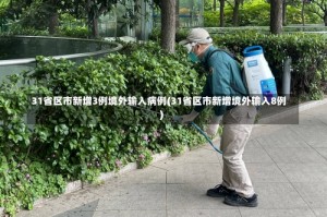 31省区市新增3例境外输入病例(31省区市新增境外输入8例)