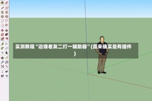 实测教程“边锋老友二打一辅助器”(原来确实是有插件)