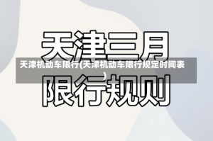 天津机动车限行(天津机动车限行规定时间表)