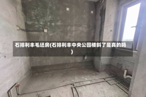 石排利丰毛坯房(石排利丰中央公园楼斜了是真的吗)