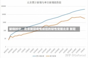 破晓时分，北京新冠疫情防控的韧性觉醒北京 新冠
