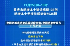 全国各城市感染高峰进度查询/全国感染者分布