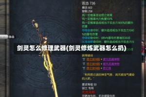 剑灵怎么修理武器(剑灵修炼武器怎么扔)