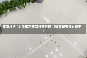 实测分析“小程序西安麻将有挂吗”(确实是有挂)-知乎!