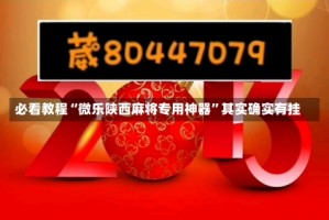 必看教程“微乐陕西麻将专用神器”其实确实有挂