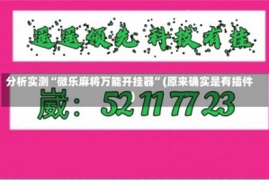 分析实测“微乐麻将万能开挂器”(原来确实是有插件)