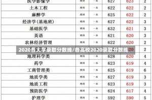 2020各大学录取分数线/各高校2020录取分数线