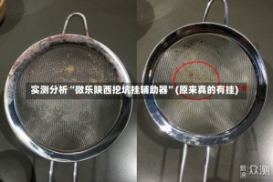 实测分析“微乐陕西挖坑挂辅助器”(原来真的有挂)