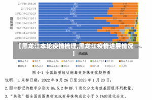 【黑龙江本轮疫情梳理,黑龙江疫情进展情况】