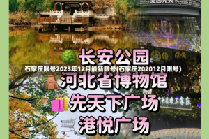 石家庄限号2023年12月最新限号(石家庄202012月限号)