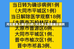河北增本土确诊22例/河北本土新增确诊病例