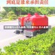 车辆撞行人行人全责/汽车撞行人 行人全责